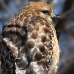 斗罗玉转奇遇漫画:免费在线阅读全新冒险故事 jj4trgzy36