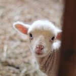 揭秘黑料社团:背后的秘密与阴暗交易 otnufo