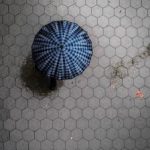 斗罗玉转漫画免费阅读:畅享精彩剧情与角色成长的奇幻之旅 v6vrxgn