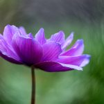 揭秘黑料热点事件:吃瓜群众的曝光与反转 y5zvv6